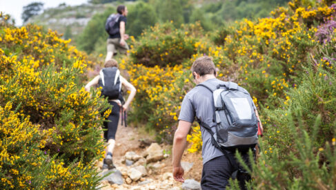 A modern membership and finance management solution for The Duke of Edinburgh’s Award