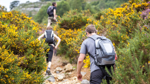 A modern membership and finance management solution for The Duke of Edinburgh’s Award